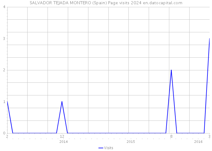 SALVADOR TEJADA MONTERO (Spain) Page visits 2024 