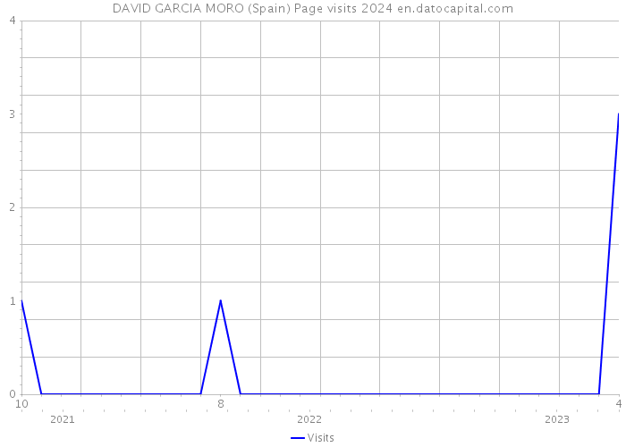 DAVID GARCIA MORO (Spain) Page visits 2024 