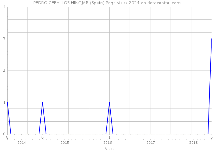 PEDRO CEBALLOS HINOJAR (Spain) Page visits 2024 