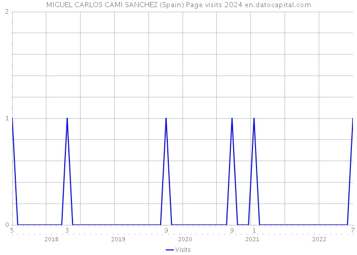 MIGUEL CARLOS CAMI SANCHEZ (Spain) Page visits 2024 