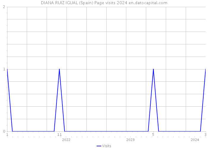 DIANA RUIZ IGUAL (Spain) Page visits 2024 