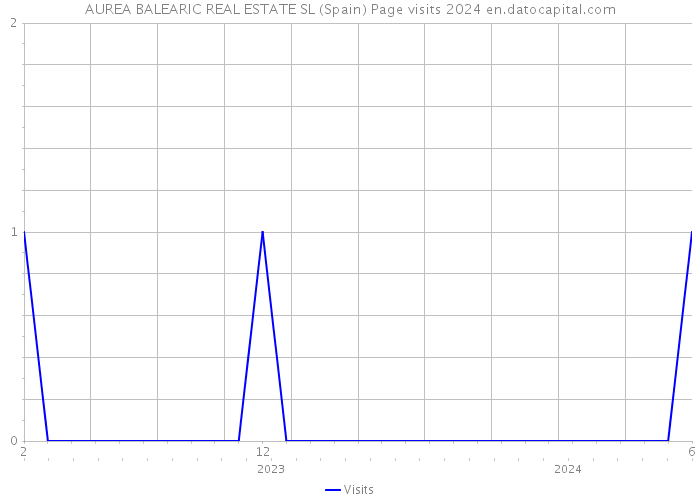AUREA BALEARIC REAL ESTATE SL (Spain) Page visits 2024 