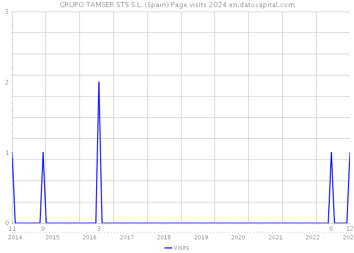 GRUPO TAMSER STS S.L. (Spain) Page visits 2024 