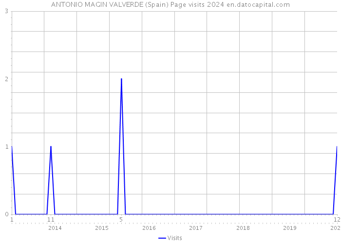ANTONIO MAGIN VALVERDE (Spain) Page visits 2024 