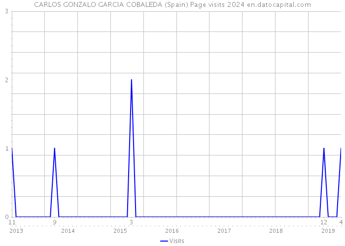 CARLOS GONZALO GARCIA COBALEDA (Spain) Page visits 2024 