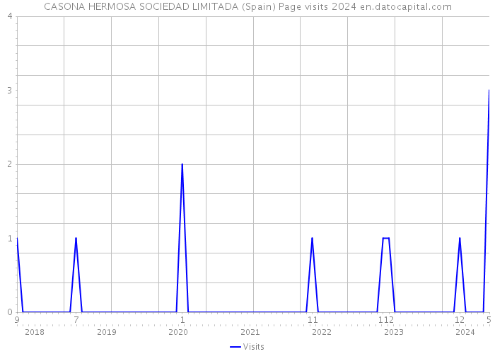 CASONA HERMOSA SOCIEDAD LIMITADA (Spain) Page visits 2024 