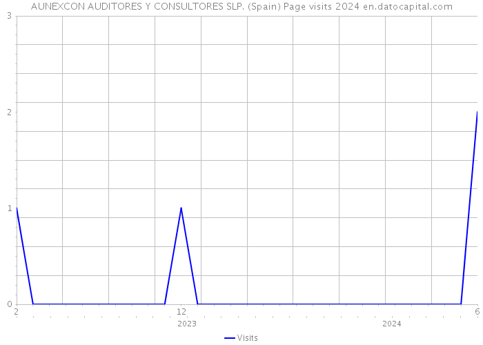 AUNEXCON AUDITORES Y CONSULTORES SLP. (Spain) Page visits 2024 