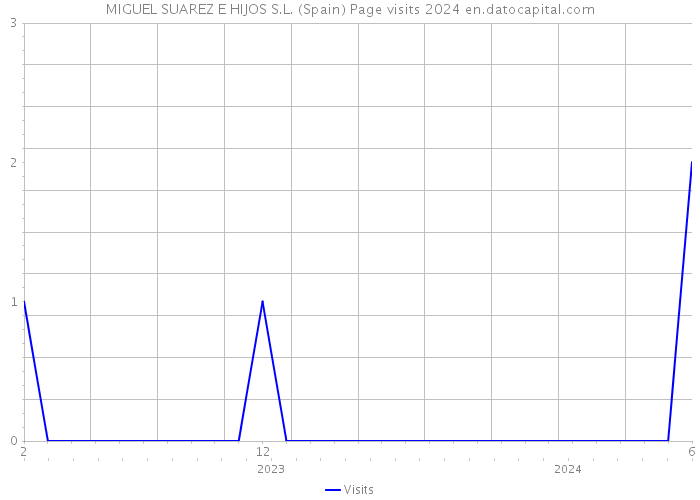 MIGUEL SUAREZ E HIJOS S.L. (Spain) Page visits 2024 