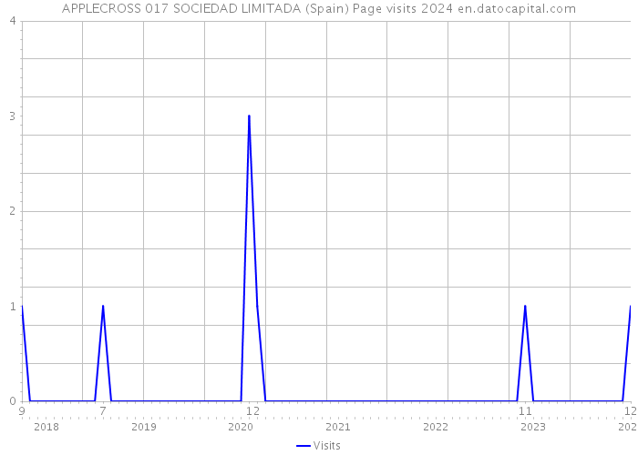 APPLECROSS 017 SOCIEDAD LIMITADA (Spain) Page visits 2024 
