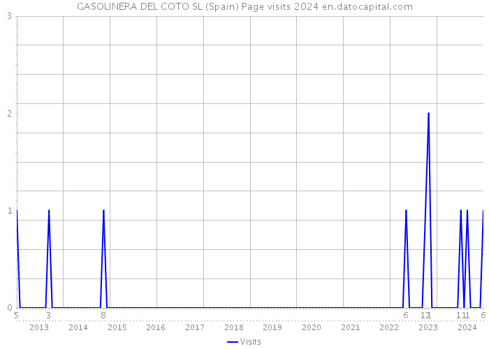 GASOLINERA DEL COTO SL (Spain) Page visits 2024 
