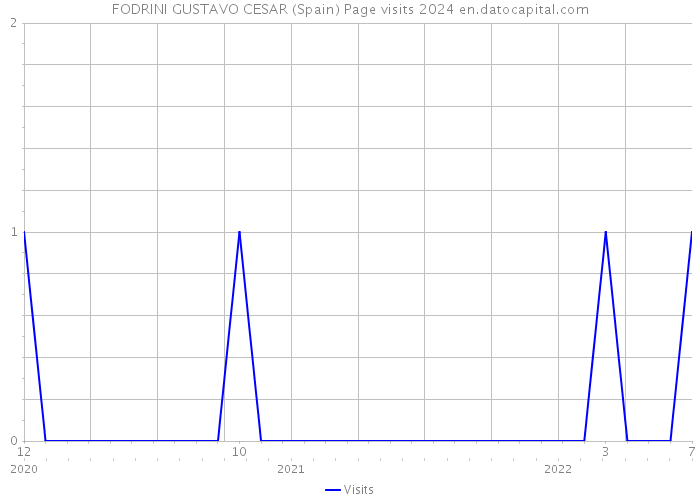 FODRINI GUSTAVO CESAR (Spain) Page visits 2024 