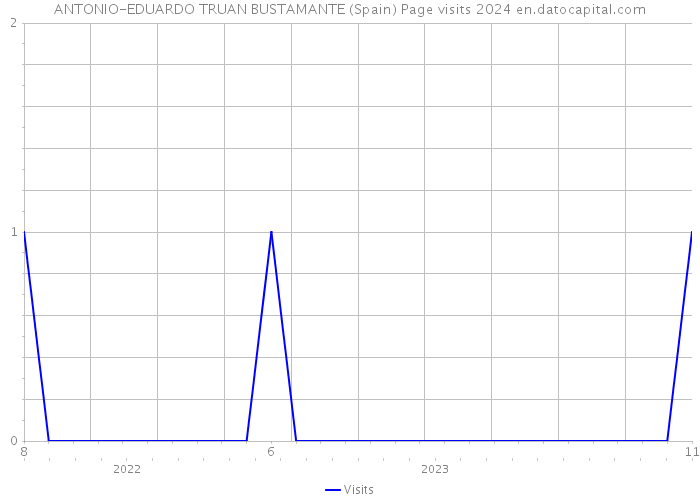 ANTONIO-EDUARDO TRUAN BUSTAMANTE (Spain) Page visits 2024 
