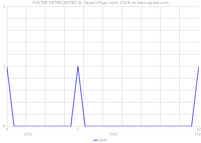 FUSTER DETERGENTES SL (Spain) Page visits 2024 