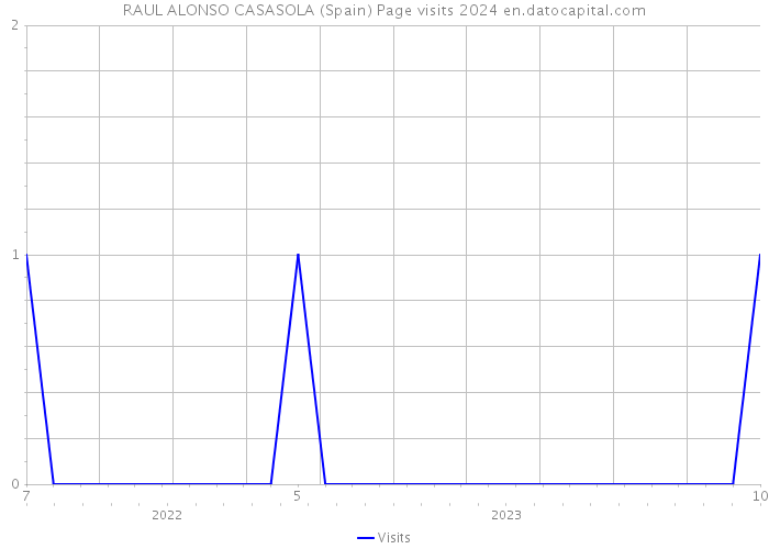 RAUL ALONSO CASASOLA (Spain) Page visits 2024 