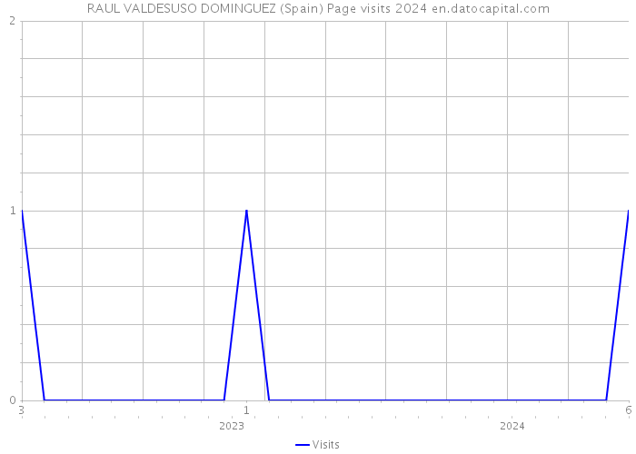 RAUL VALDESUSO DOMINGUEZ (Spain) Page visits 2024 