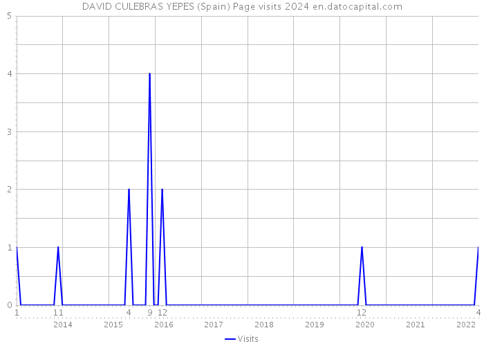 DAVID CULEBRAS YEPES (Spain) Page visits 2024 