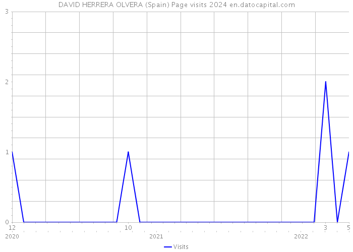 DAVID HERRERA OLVERA (Spain) Page visits 2024 