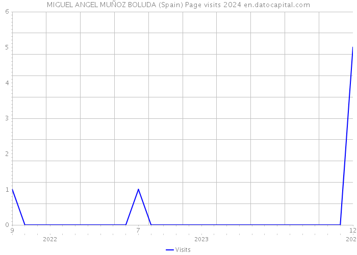 MIGUEL ANGEL MUÑOZ BOLUDA (Spain) Page visits 2024 