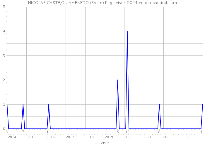 NICOLAS CASTEJON AMENEDO (Spain) Page visits 2024 