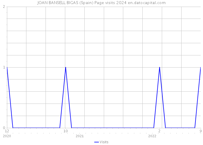 JOAN BANSELL BIGAS (Spain) Page visits 2024 