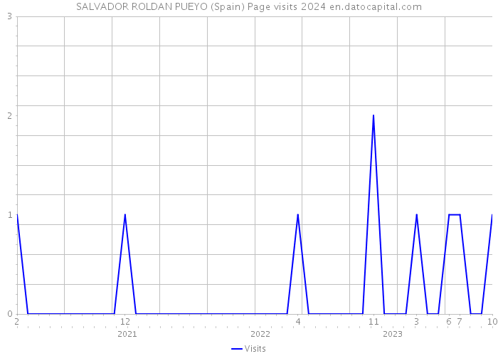 SALVADOR ROLDAN PUEYO (Spain) Page visits 2024 
