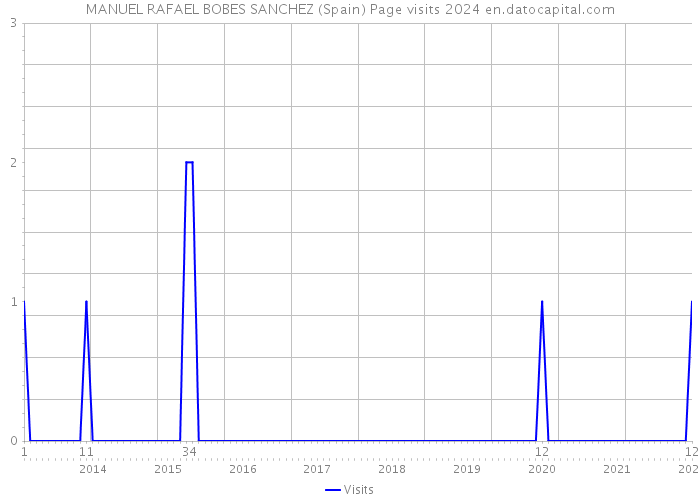 MANUEL RAFAEL BOBES SANCHEZ (Spain) Page visits 2024 