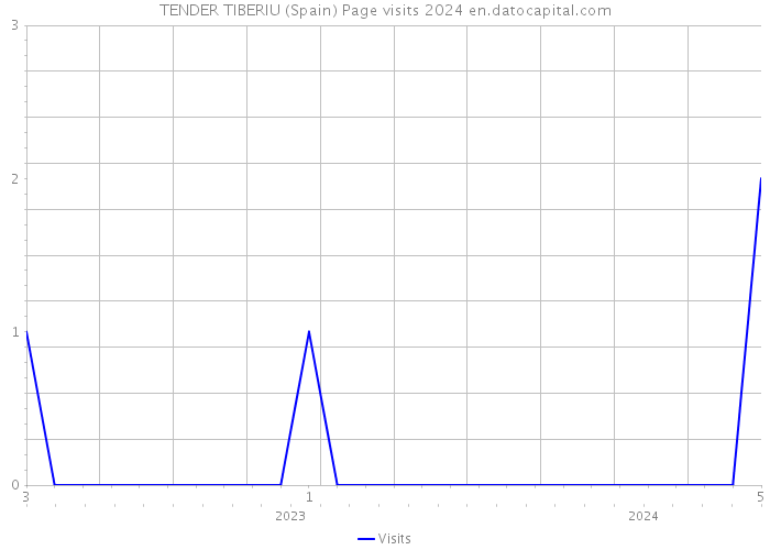 TENDER TIBERIU (Spain) Page visits 2024 