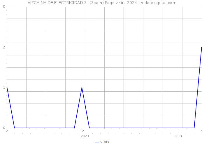 VIZCAINA DE ELECTRICIDAD SL (Spain) Page visits 2024 