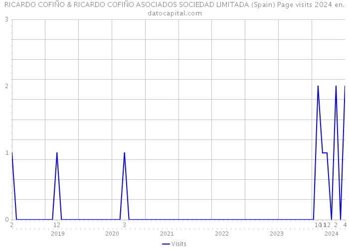RICARDO COFIÑO & RICARDO COFIÑO ASOCIADOS SOCIEDAD LIMITADA (Spain) Page visits 2024 
