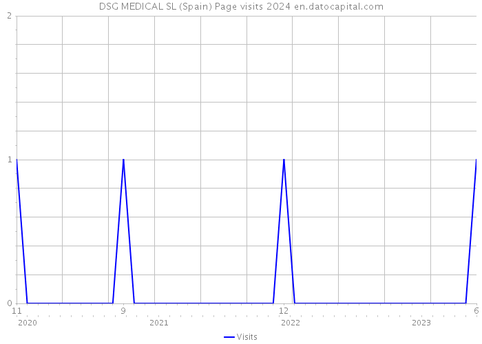 DSG MEDICAL SL (Spain) Page visits 2024 