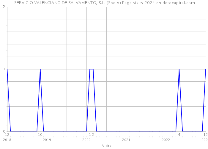  SERVICIO VALENCIANO DE SALVAMENTO, S.L. (Spain) Page visits 2024 