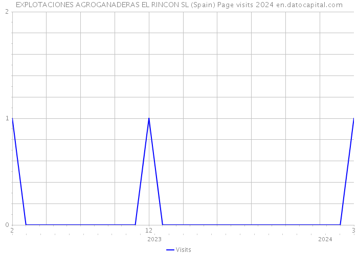 EXPLOTACIONES AGROGANADERAS EL RINCON SL (Spain) Page visits 2024 