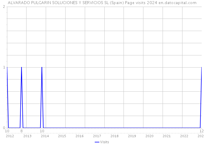ALVARADO PULGARIN SOLUCIONES Y SERVICIOS SL (Spain) Page visits 2024 