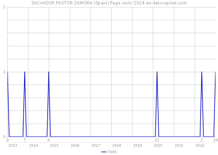 SALVADOR PASTOR ZAMORA (Spain) Page visits 2024 