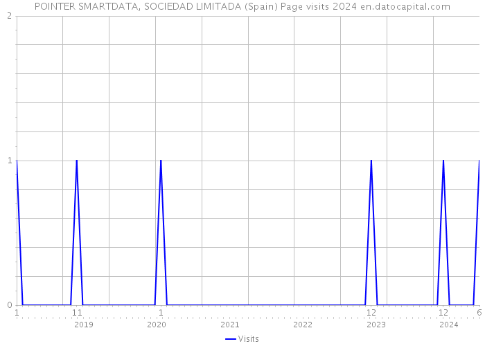 POINTER SMARTDATA, SOCIEDAD LIMITADA (Spain) Page visits 2024 