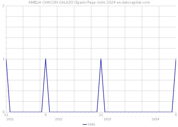 AMELIA CHACON GALAZO (Spain) Page visits 2024 