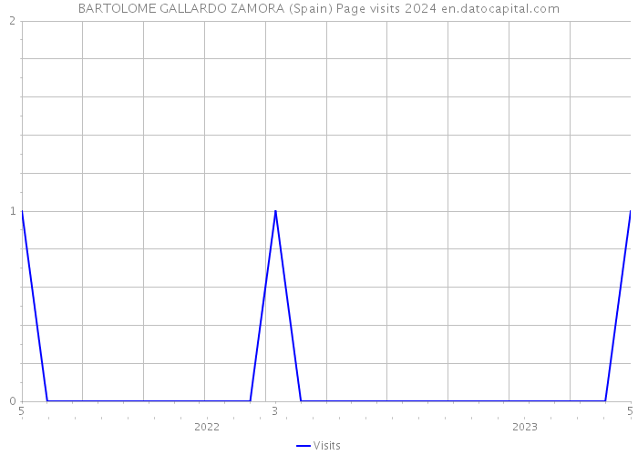 BARTOLOME GALLARDO ZAMORA (Spain) Page visits 2024 