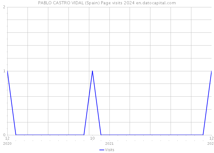 PABLO CASTRO VIDAL (Spain) Page visits 2024 