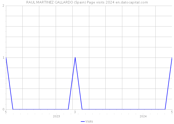 RAUL MARTINEZ GALLARDO (Spain) Page visits 2024 