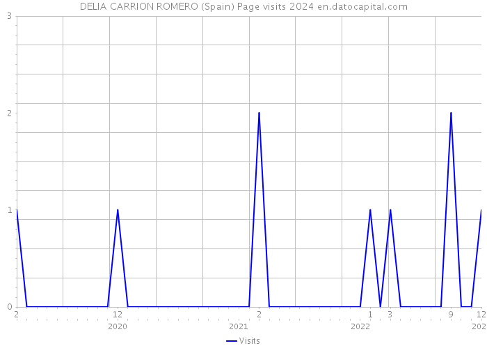 DELIA CARRION ROMERO (Spain) Page visits 2024 