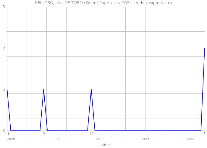 REINOSOJUAN DE TORO (Spain) Page visits 2024 