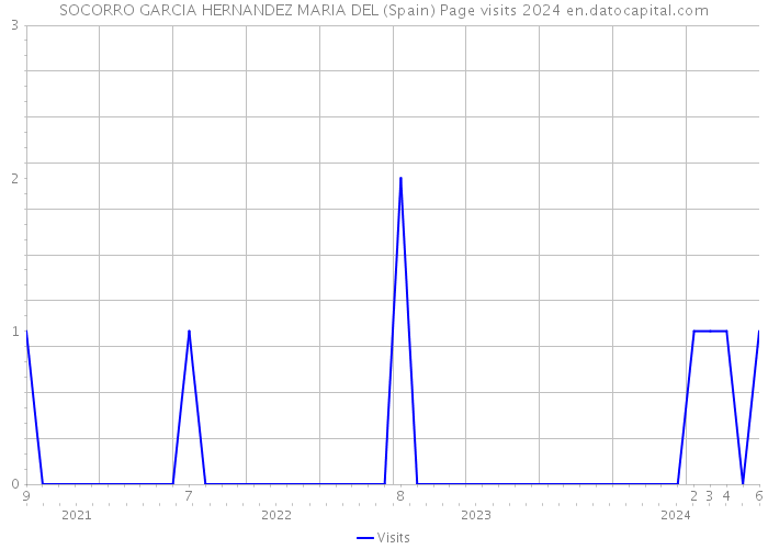 SOCORRO GARCIA HERNANDEZ MARIA DEL (Spain) Page visits 2024 