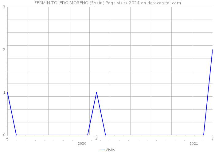 FERMIN TOLEDO MORENO (Spain) Page visits 2024 