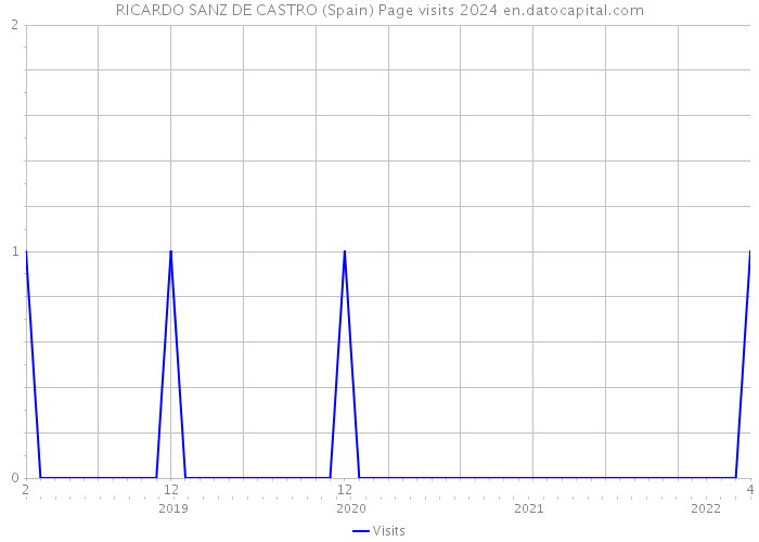 RICARDO SANZ DE CASTRO (Spain) Page visits 2024 