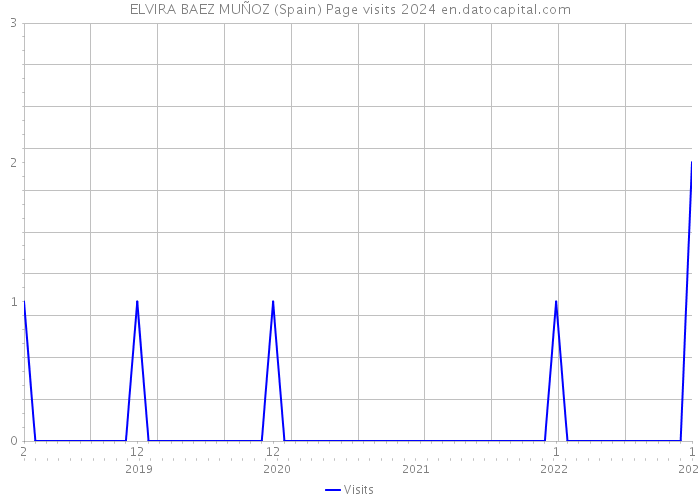 ELVIRA BAEZ MUÑOZ (Spain) Page visits 2024 