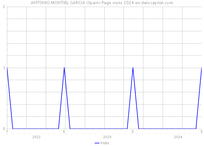 ANTONIO MONTIEL GARCIA (Spain) Page visits 2024 