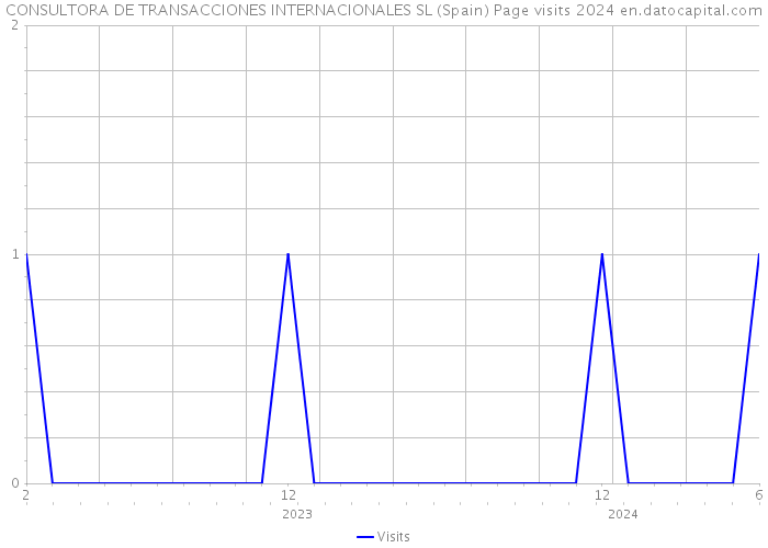 CONSULTORA DE TRANSACCIONES INTERNACIONALES SL (Spain) Page visits 2024 