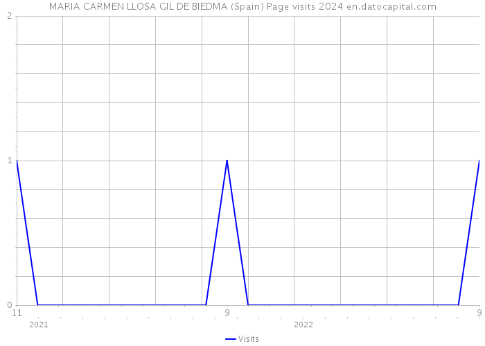 MARIA CARMEN LLOSA GIL DE BIEDMA (Spain) Page visits 2024 