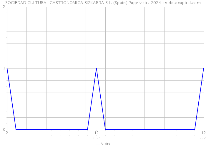 SOCIEDAD CULTURAL GASTRONOMICA BIZKARRA S.L. (Spain) Page visits 2024 