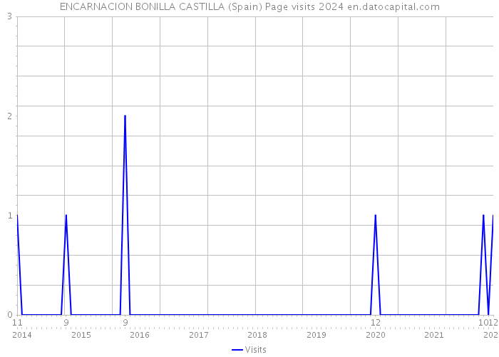 ENCARNACION BONILLA CASTILLA (Spain) Page visits 2024 